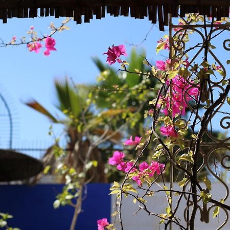 מרקש Riad 46 מראה חיצוני תמונה